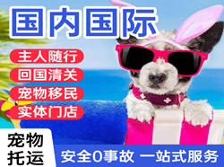 菏泽牡丹空运国际宠物托运 【国